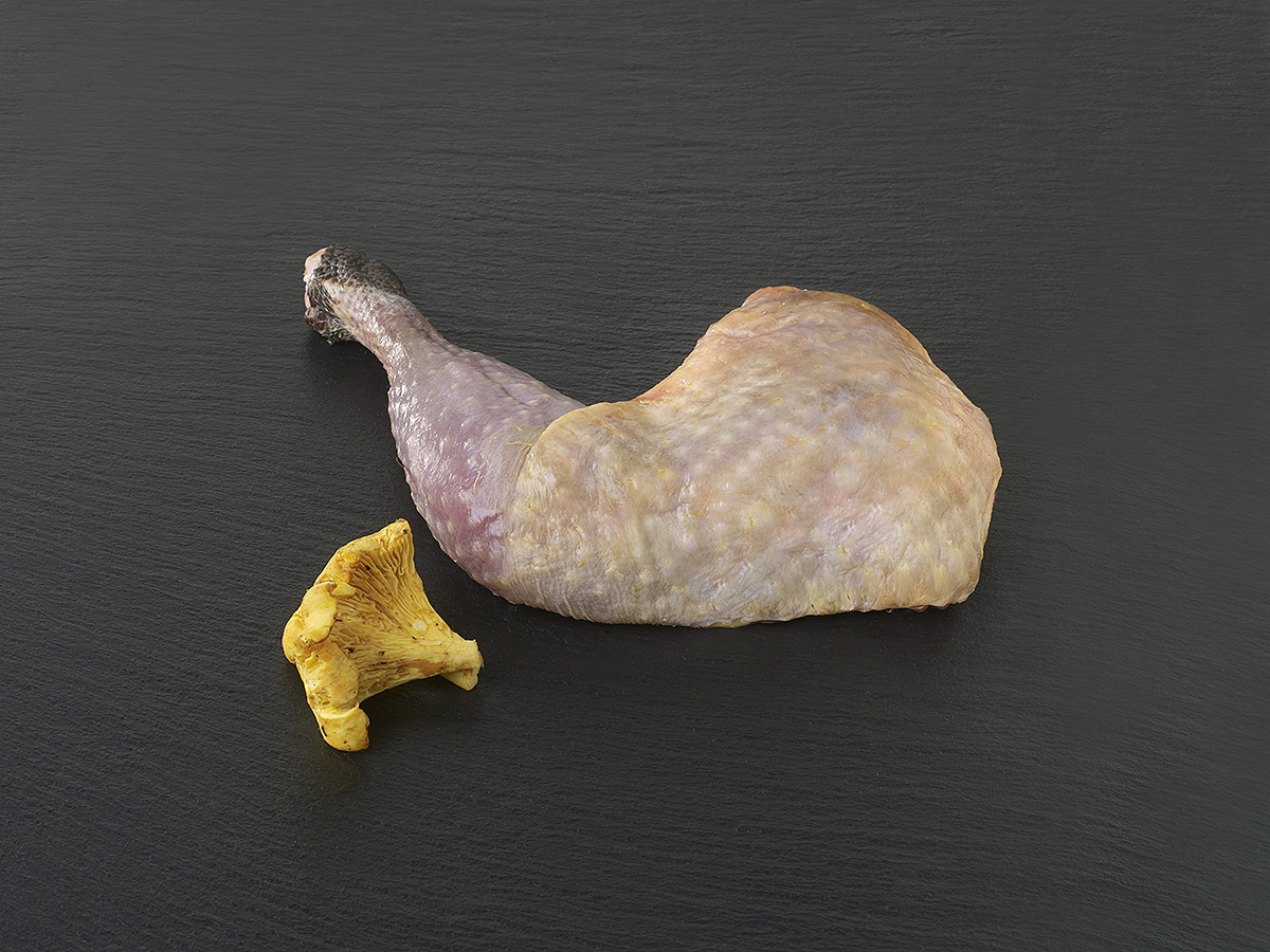 Cuisse de pintade - Le blog - Ollca